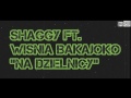 shaggy ft. wiśnia bakajoko na dzielnicy