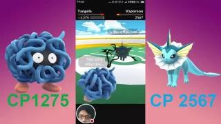 [Pokémon GO] 105.09.20 [打道館] CP 1275 Tangela蔓藤怪 VS CP 2567 Vaporeon水精靈