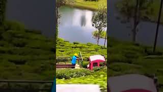 എത്ര ഭംഗി ആണ് 🔥#shorts #subscribe #travel #kerala #shortvideo #tamil #tamilnadu #trend #tour #tea