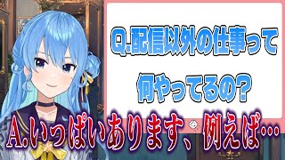 配信外も多忙を極めるすいちゃん[ホロライブ/星街すいせい切り抜き]