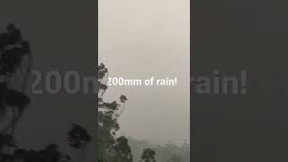 200mm Of Rain! Torrential rain! #shorts #rain #wildlife #nature #storm #crazy