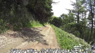 【CROSS CUB】駒越林道20170624