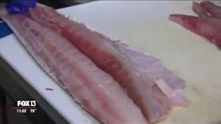 FWC executive order: Redfish, snook catch-and-release only