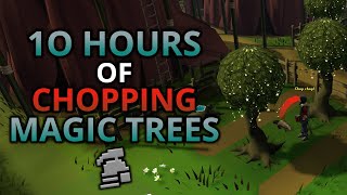 Loot From 10 Hours Of Chopping Magic Trees