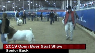 2019 Youth \u0026 Open Boer Goat Show