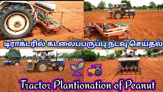 டிராக்டரில் கடலைப்பருப்பு நடவு செய்தல்/ 🌱 plantionation of peanut/🚜 tractor plantionation of peanut