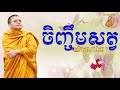 ចិញ្ចឹមសត្វលក់ យ៉ាងណាដែរ san sochea vj