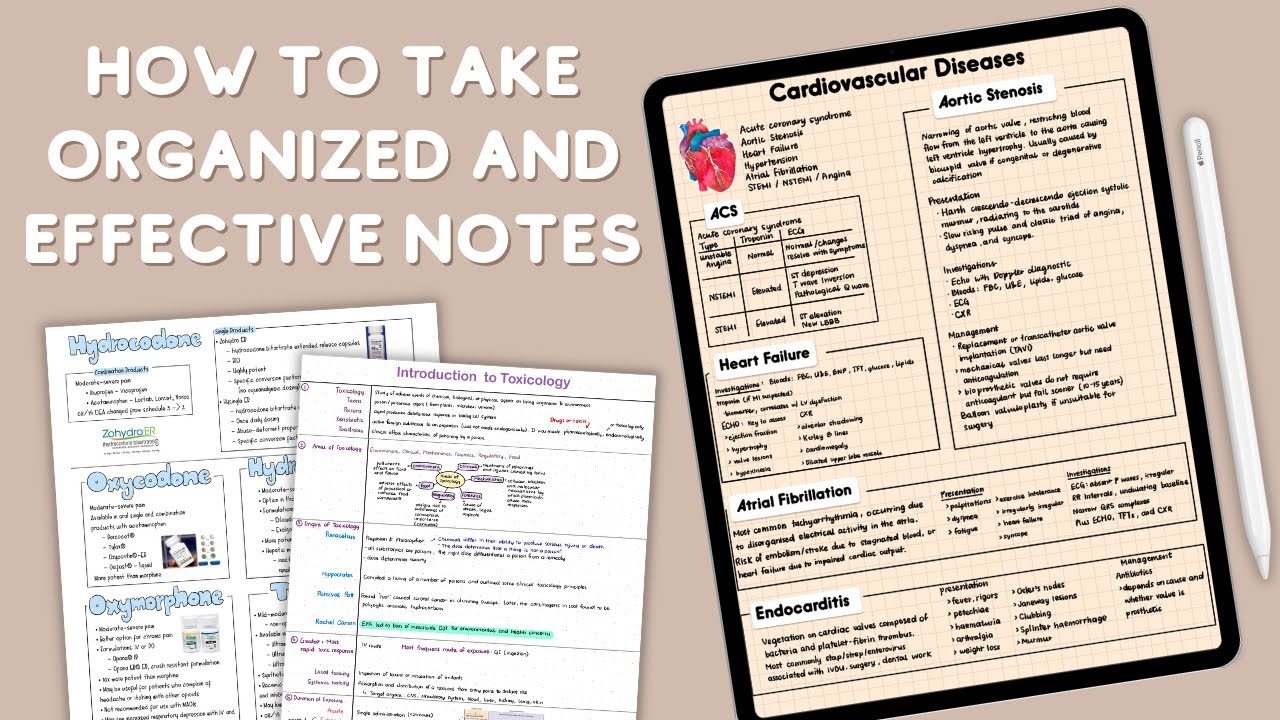 Organized Note Taking 11 Ways To Organize Your Notes
