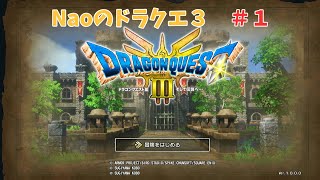 【DQ3】Naoのドラクエ３＃１