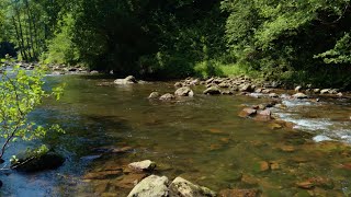 Paseo circular por Leitzaran (Andoain 2 julio 2021) 4K