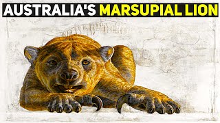 Australia's Fascinating Extinct Marsupial Lion