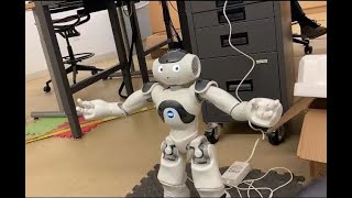 Robots and Humans Lab03 Demo