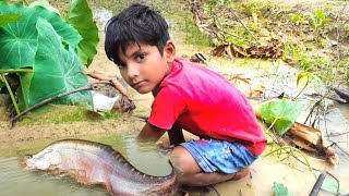 Hand Fishing After Rain | Hand Fishing By Small Boy | Primitive Survival | Primitive Technology