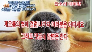 [잔소리 대마왕] 게으름의 병에 결린 나가자 여러분은 어떠세요 그래도 댓글에 답변은 한다