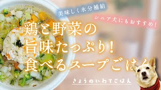 【簡単手作り犬ご飯】鶏と野菜の旨味たっぷり！食べるスープごはん  【帝塚山ハウンドカム】