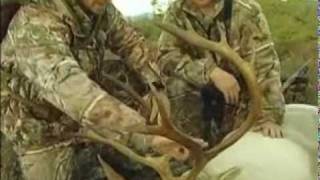 Moose/Caribou Hunt RHF p1