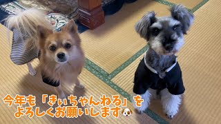 2025新年のごあいさつ🐶