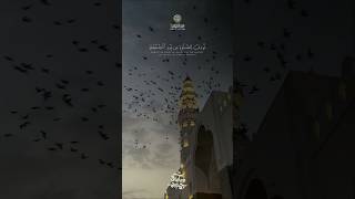 أدخل الطمأنينة على القلب بتلاوة القرآن الكريم بصوت القارئ محمود الشحات أنور #محمود_الشحات 💖💖