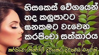 කොන්ඩය වේගයෙන් ඝනකමට වැවෙන්න කරපිංචා වලින් සත්කාර කිහිපයක්/curry leaves for hair growth/sinhala