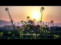 Koj Yeej Yog Kuv Tus by ZooHlub Yaaj Covered By Risa Lor