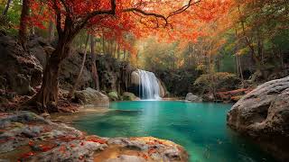 A Beautiful Escape into a Night of Dreams and Relaxation