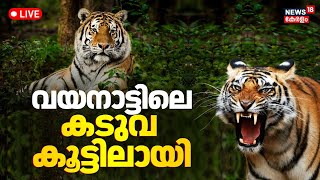 LIVE | Tiger Tapped In Wayanad Thoopra | Wayanad TIger Attack | Tiger Caught In Wayanad | Kerala