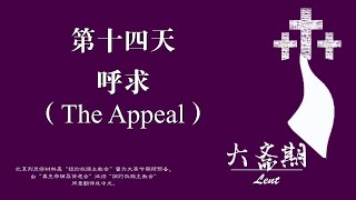 大斋期 第十四天：呼求（The Appeal）