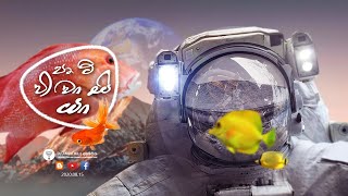 පෘථිවි වාසියා | මාලු ලෝකය | 15.08.2020 | දහම් දෙසුම | අකම්පිත