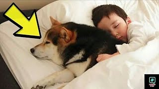 Mom left the dog sleeping with the 7 years old baby but what he does at night is amazing