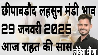 29 January 2025 छीपाबडौद मंडी का आज का लहसुन का भाव | Today Garlic Rate | Lahsun Ka Bhav Chhipabarod