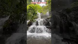 कसालचा सुंदर धबधबा | 😱waterfall in kasal 😱 | #waterfall #shortvideo #konkan #kasal #धबधबा #nature