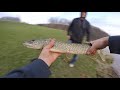 pike fishing at a dam