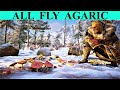 Assassin's Creed Valhalla: Fly Agaric All Locations