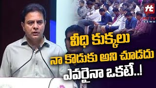 వీధి కుక్కలు నా కొడుకు అని చూడదు ఎవరైనా ఒకటే..! | Minister KTR Comments