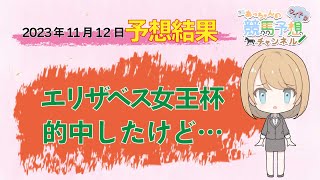 【JRA】11月12日中央競馬　東京・京都・福島　予想結果の的中率・回収率