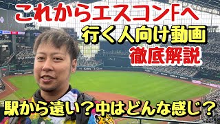 【徹底解説】まだまだ未知の球場!?エスコンフィールド北海道について知らない人向けに簡単に解説しました【本間にいい球場】で他にはないようなシステムも多数!!