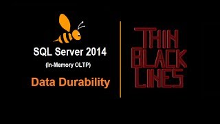 SQL Server 2014 - In Memory OLTP (Data Durability)