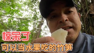 可以当水果吃的竹笋，你见过吗？太好吃了