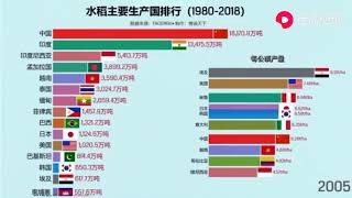 世界各国水稻产量排行榜（1981-2018）-可视化数据！