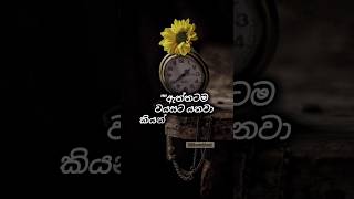 දන්නවද..❤️#hithuvakkari subscribe❤️❤️ #shortsviral #motivational #shortsviral #shorts