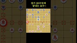 장기 20수만에 끝내는 묘수 #shorts