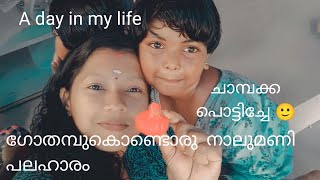 A Day in my Life |ഞങ്ങളുടെ  ഒരു  സാധാരണ  ദിവസം |