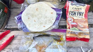 Catch N' Cook Cajun Fried Sunny Taco! (Multiple Animal Encounters!)