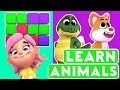 kiddy | learn animals | learn alphabet for children | kiddo kiddy games | preschool kids cartoons