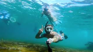You've Gotta Try This: Snorkeling at Blue Heron Bridge in Riviera Beach
