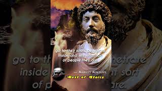 When Someone Blames or Hates You: Marcus Aurelius  |  Philosophy for Life | Stoicism | Quotes