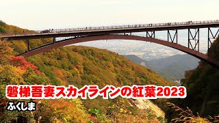 磐梯吾妻スカイラインの紅葉2023  ふくしま　10月19日