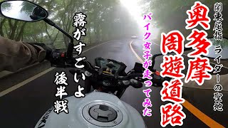 【SV650】奥多摩周遊道路　霧が凄いよ　後半戦【SV650X】