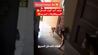 شاهد أحد أفراد فرقة التدخل السريع🤣😅