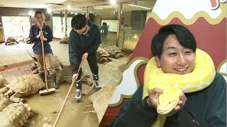 新人アナが”一皮”むける貴重体験　体感型動物園で国内最大のワニにエサやりやゾウガメが過ごす部屋で床掃除